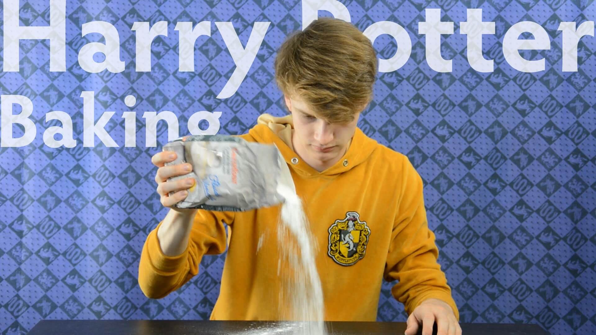 Harry Potter Baking Vegan Cake, Cupcake, Biscuits and Chocolate Frogs