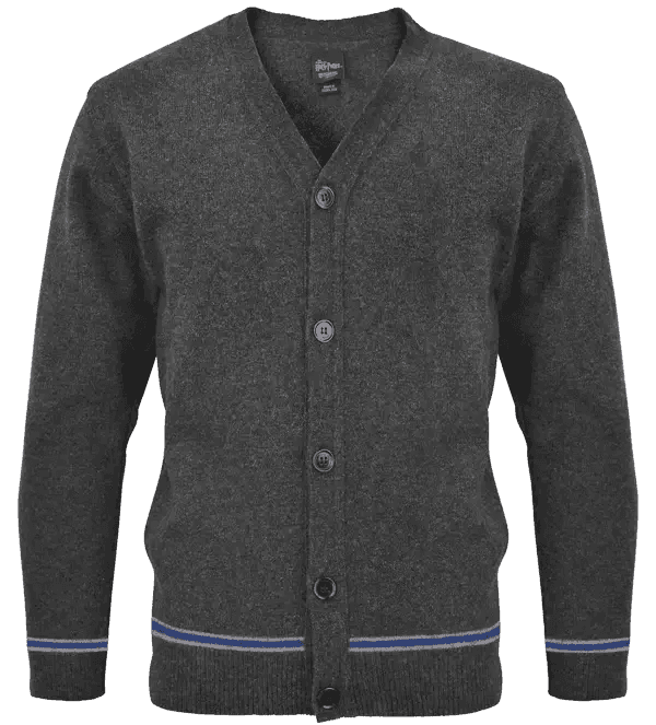 Ravenclaw V-Neck School Cardigan - Olleke Wizarding Shop Amsterdam