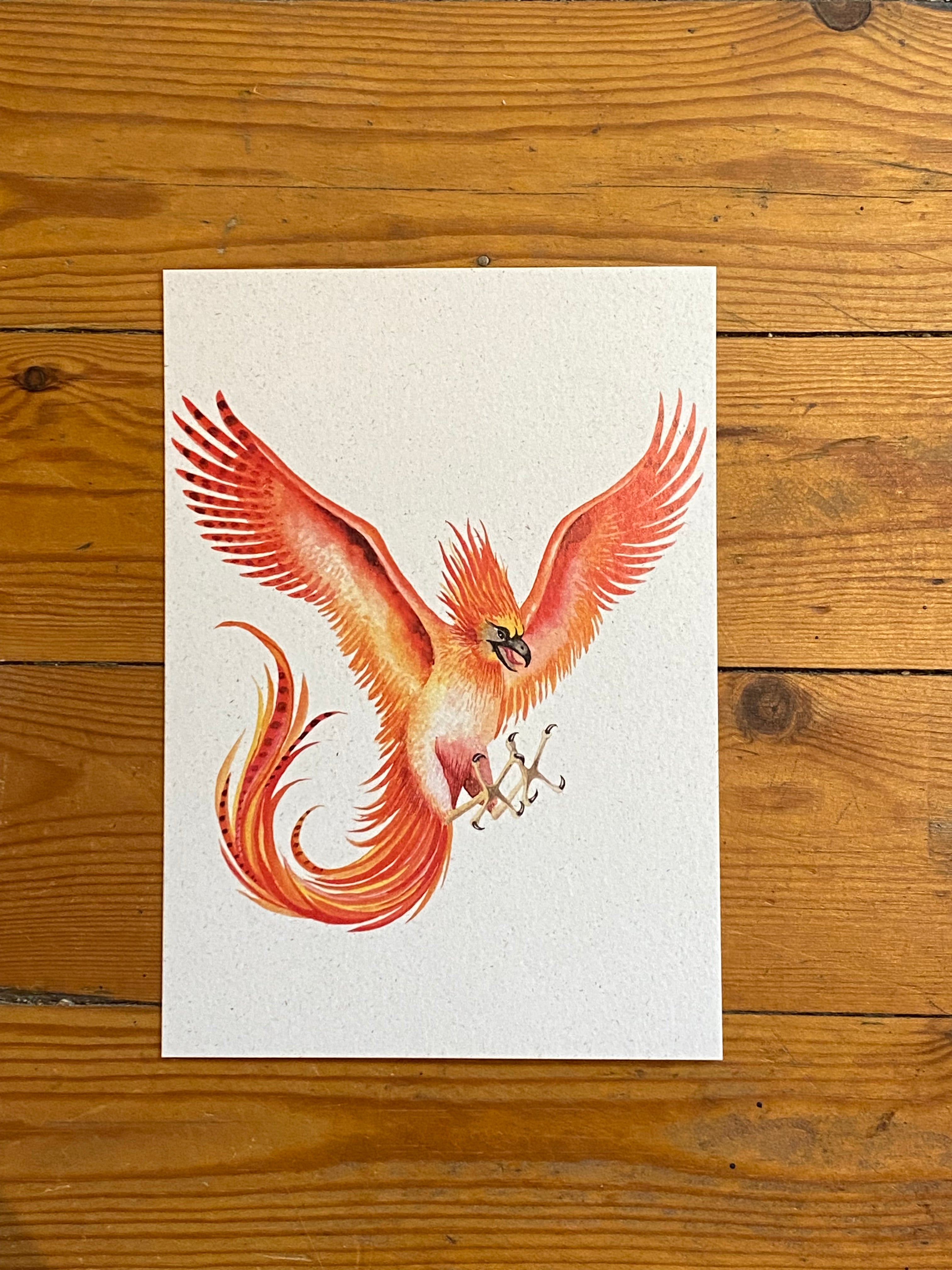 Phoenix Art Print - Olleke Wizarding Shop Amsterdam