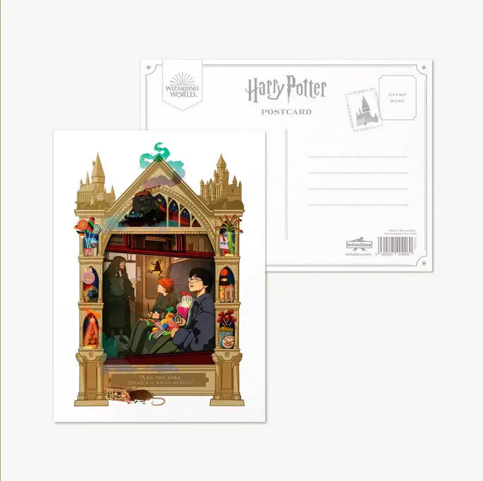 Harry Potter Magical Moments Are you sure that's a real spell? Single Postcard - Olleke Wizarding Shop Amsterdam