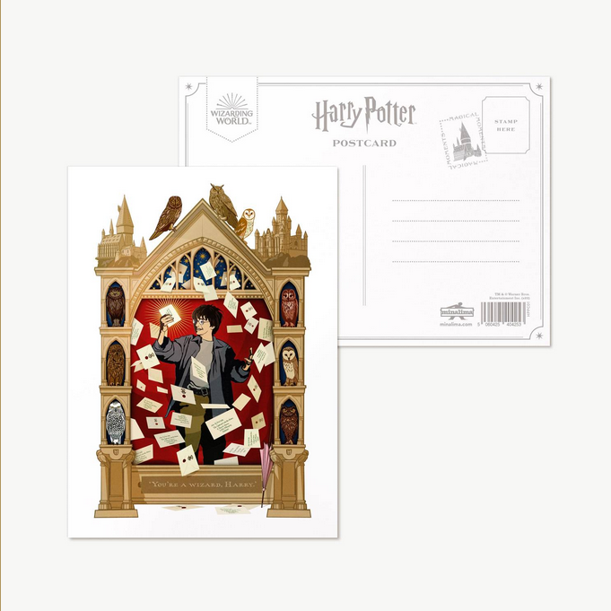 Harry Potter Magical Moments You're a wizard, Harry Single Postcard - Olleke Wizarding Shop Amsterdam
