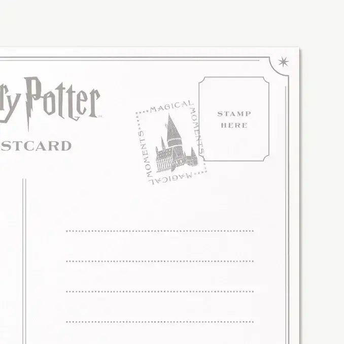 Harry Potter Magical Moments Are you sure that's a real spell? Single Postcard - Olleke Wizarding Shop Amsterdam