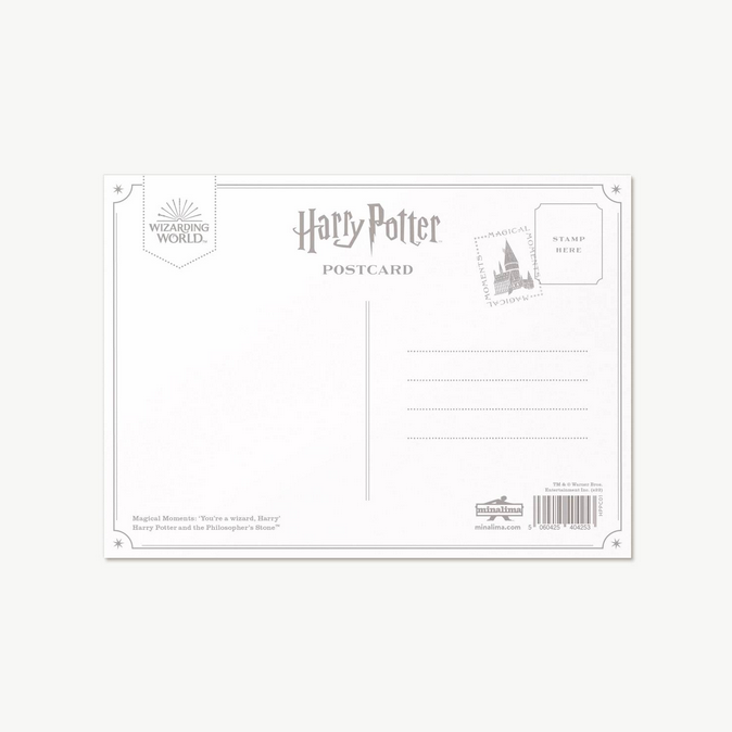 Harry Potter Magical Moments You're a wizard, Harry Single Postcard - Olleke Wizarding Shop Amsterdam