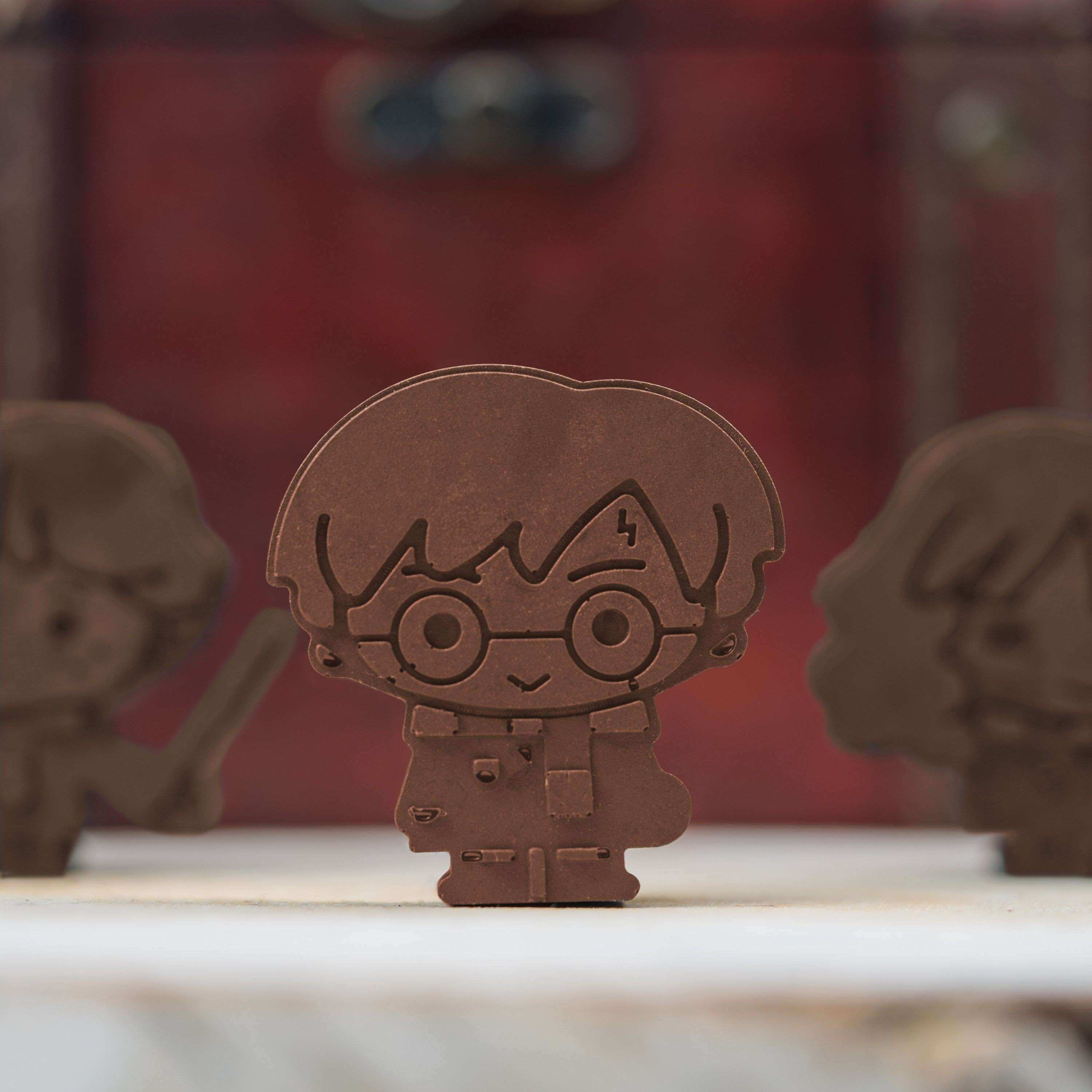 Harry Potter chocolate/ice cube mold - Kawaii - Olleke Wizarding Shop Amsterdam Brugge London