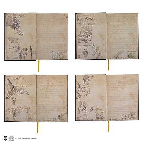 Newt Scamander Notebook - Olleke Wizarding Shop Amsterdam Brugge London