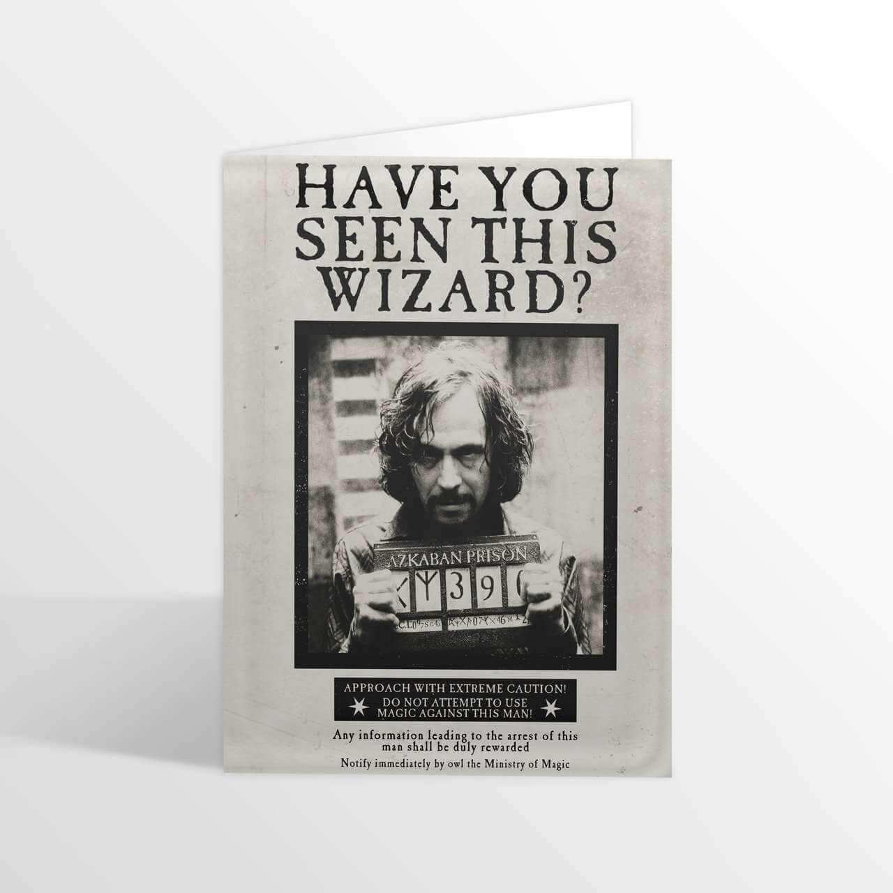 Have you Seen this Wizard? Lenticular Notecard - Olleke Wizarding Shop Amsterdam Brugge London