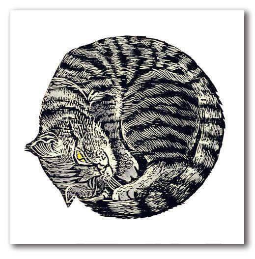 Kitten Greeting Card by Annie Soudain - Olleke Wizarding Shop Amsterdam Brugge London