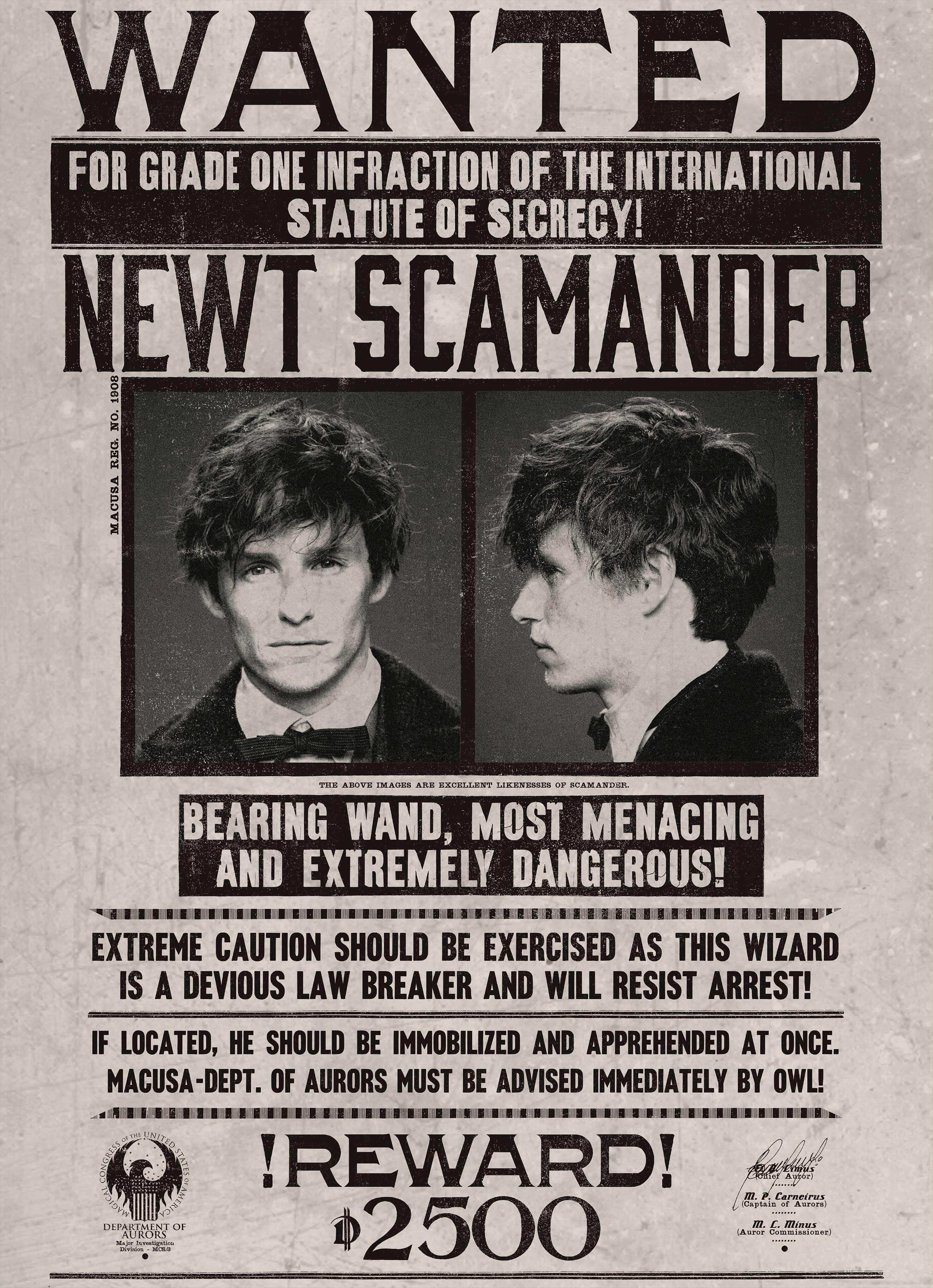 Newt Scamander Wanted Notice - Olleke Wizarding Shop Amsterdam Brugge London