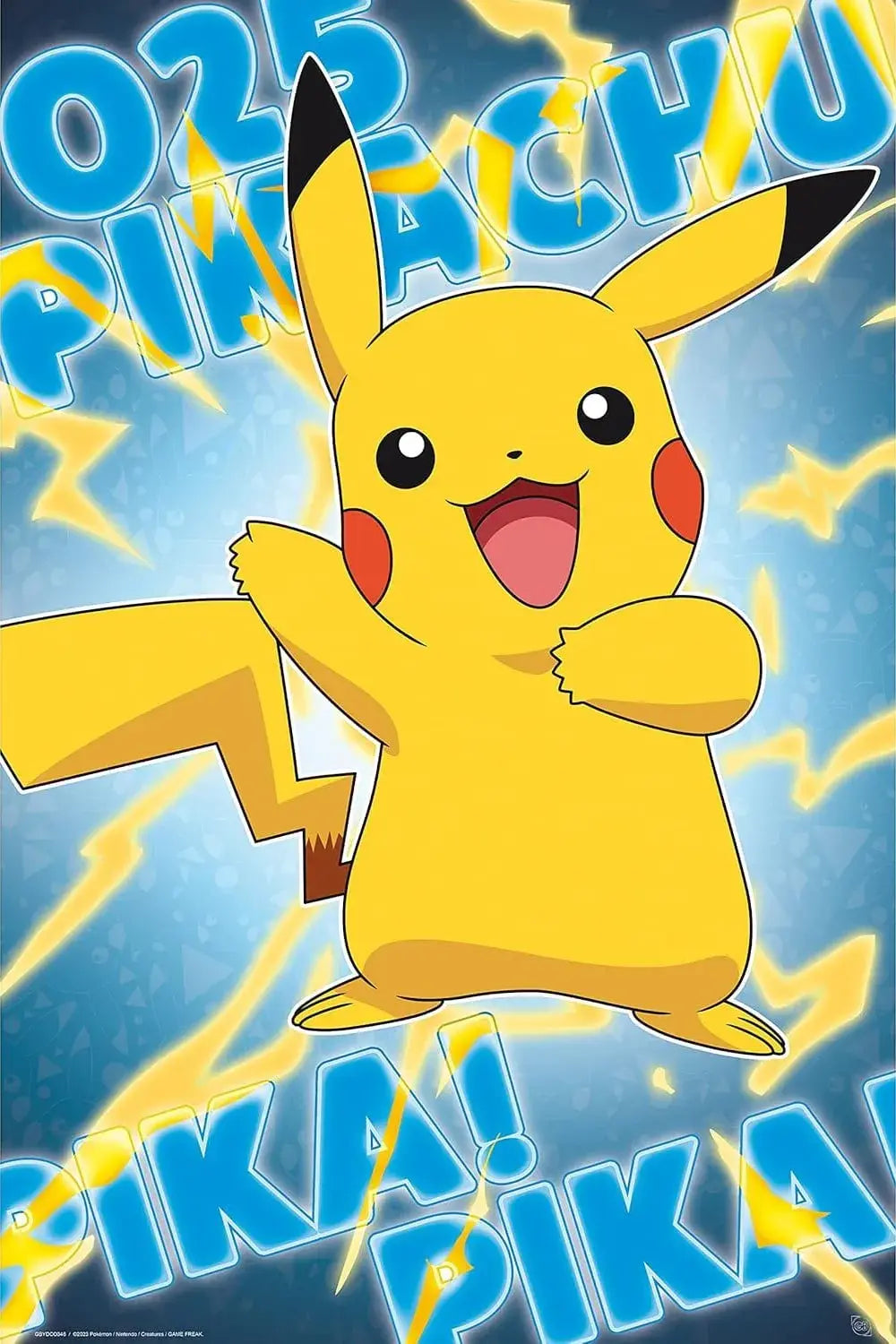 Pokémon Poster Pikachu - Olleke Wizarding Shop Amsterdam