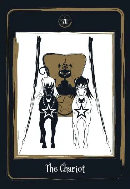 Golden Black Cat Tarot Cards - Olleke Wizarding Shop Amsterdam