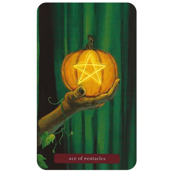Trick Or Treat Tarot Cards - Olleke Wizarding Shop Amsterdam