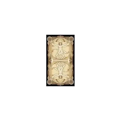 Cat Tarot Cards - Olleke Wizarding Shop Amsterdam