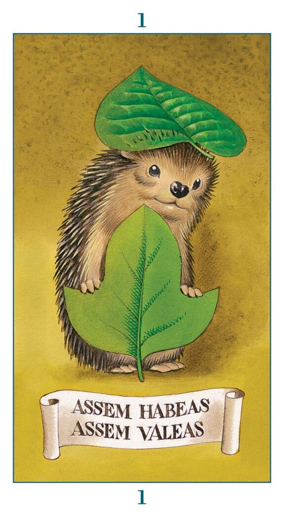 Fairy Tarot Cards - Olleke Wizarding Shop Amsterdam