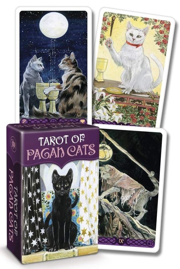 Tarot Of Pagan Cats Mini Deck - Olleke Wizarding Shop Amsterdam
