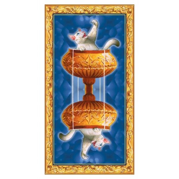 Tarot Of White Cats - Olleke Wizarding Shop Amsterdam