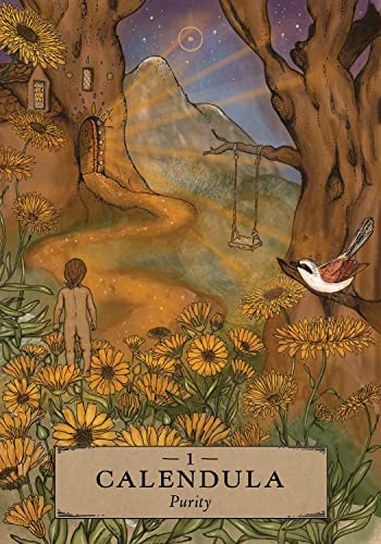 The Herbal Astrology Oracle - Olleke Wizarding Shop Amsterdam