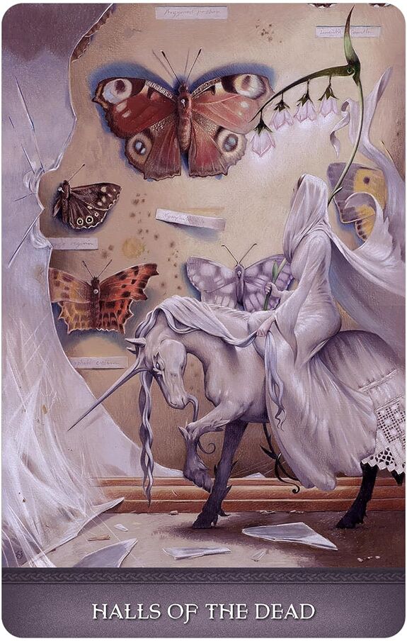 Land of Giants Oracle - Olleke Wizarding Shop Amsterdam