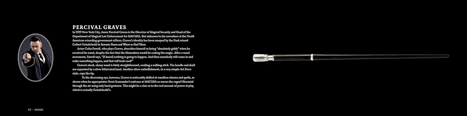 Harry Potter: The Wands of the Wizarding World - Olleke Wizarding Shop Amsterdam