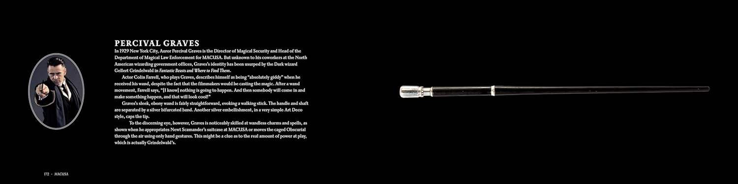 Harry Potter: The Wands of the Wizarding World - Olleke Wizarding Shop Amsterdam