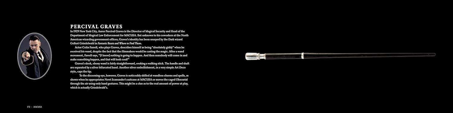 Harry Potter: The Wands of the Wizarding World - Olleke Wizarding Shop Amsterdam