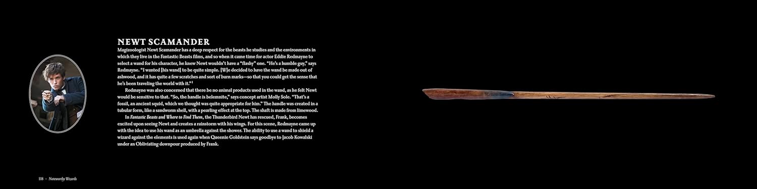 Harry Potter: The Wands of the Wizarding World - Olleke Wizarding Shop Amsterdam