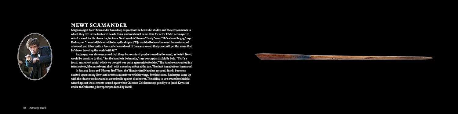 Harry Potter: The Wands of the Wizarding World - Olleke Wizarding Shop Amsterdam