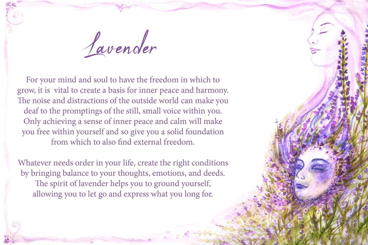 Essential Oils Oracle Cards - Olleke Wizarding Shop Amsterdam