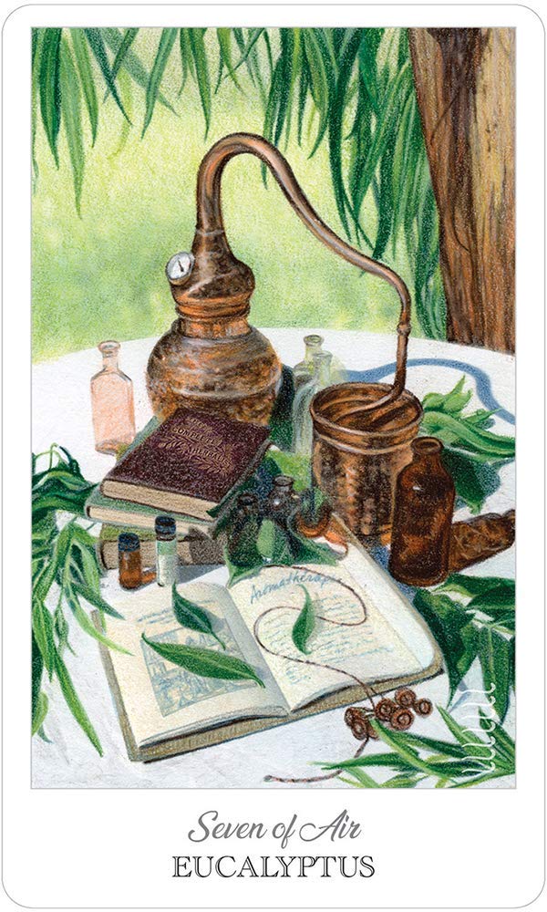 The Herbcrafter's Tarot - Olleke Wizarding Shop Amsterdam