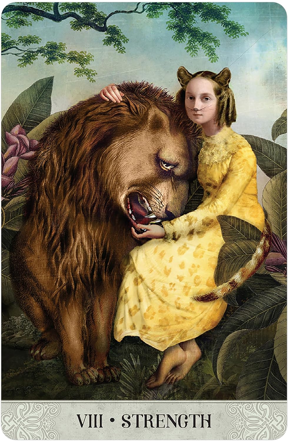 Tarot of Mystical Moments Borderless Miniature Edition - Olleke Wizarding Shop Amsterdam