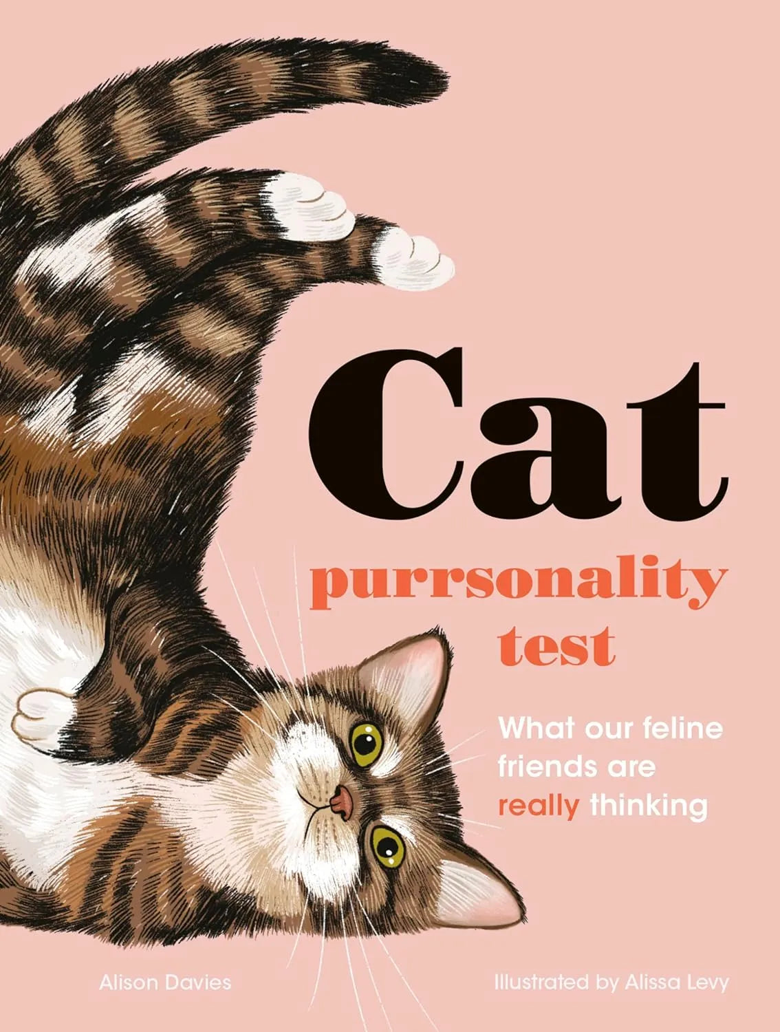 The Cat Purrsonality Test - Olleke Wizarding Shop Amsterdam