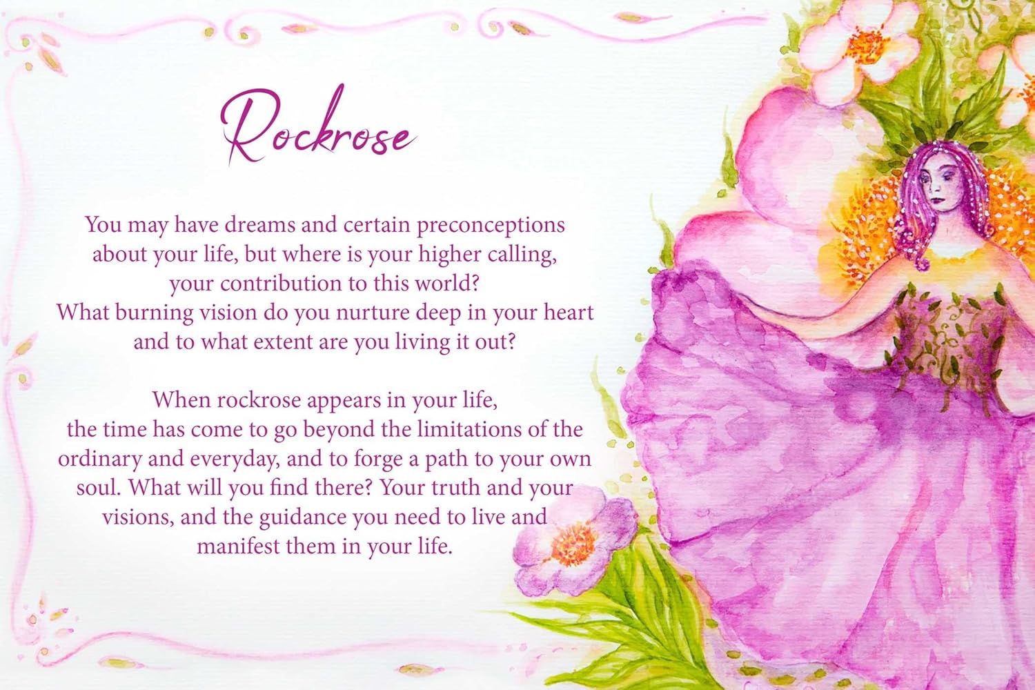 Essential Oils Oracle Cards - Olleke Wizarding Shop Amsterdam