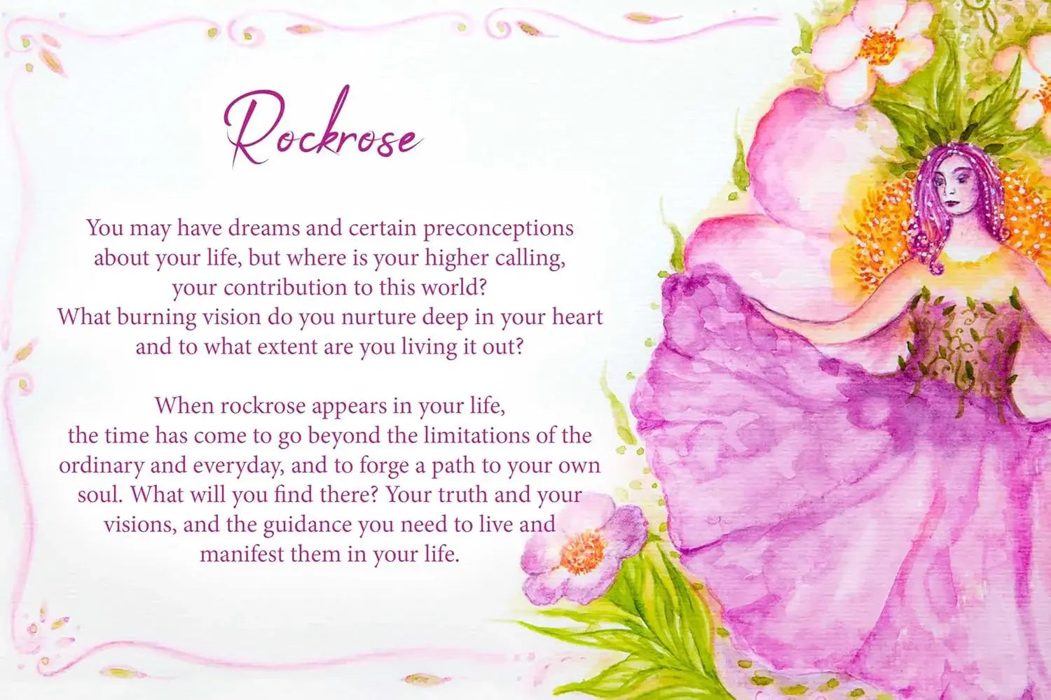 Essential Oils Oracle Cards - Olleke Wizarding Shop Amsterdam