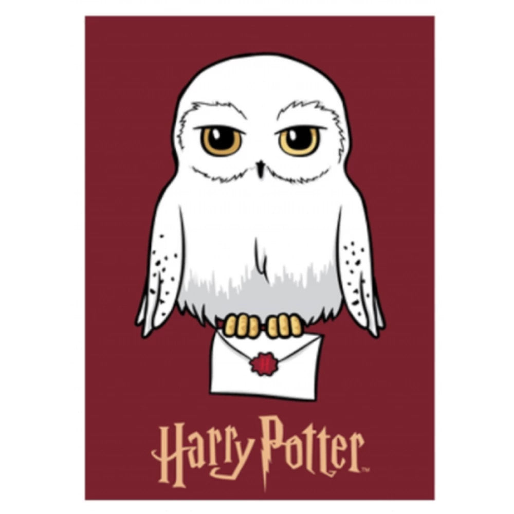 Harry Potter Throw Hedwig - Olleke Wizarding Shop Amsterdam