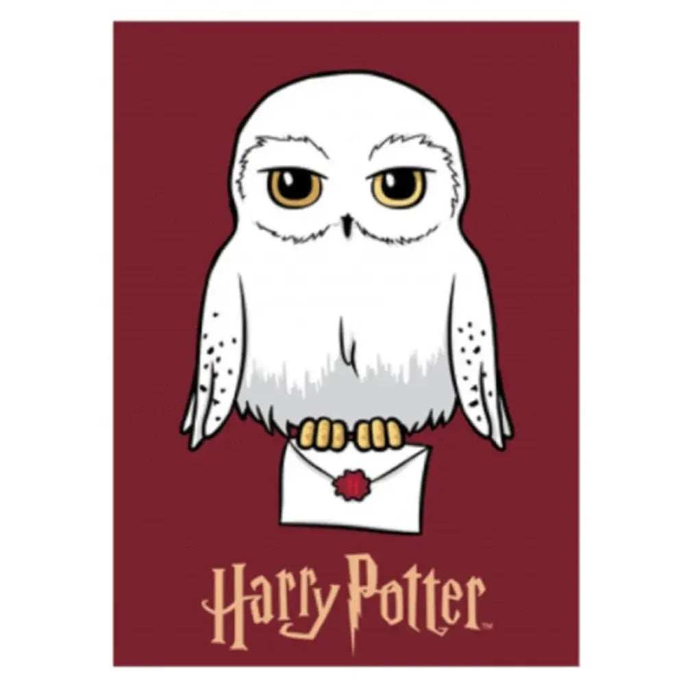 Harry Potter Throw Hedwig - Olleke Wizarding Shop Amsterdam