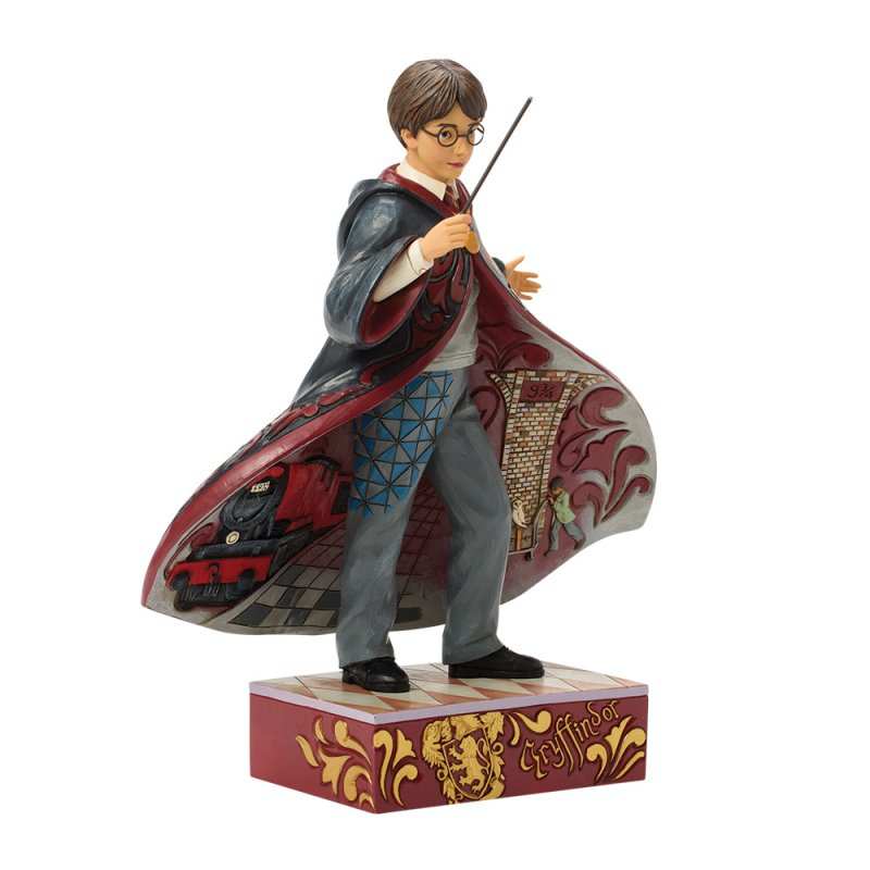 Harry Potter Magical Moment (Harry Potter Robe Scene)