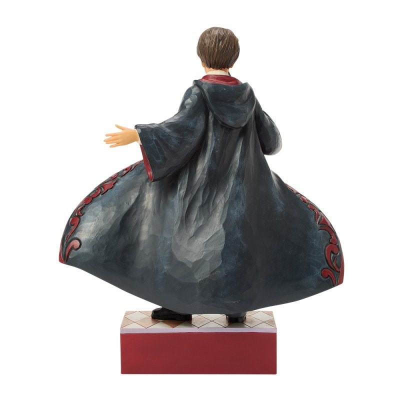 Harry Potter Magical Moment (Harry Potter Robe Scene)