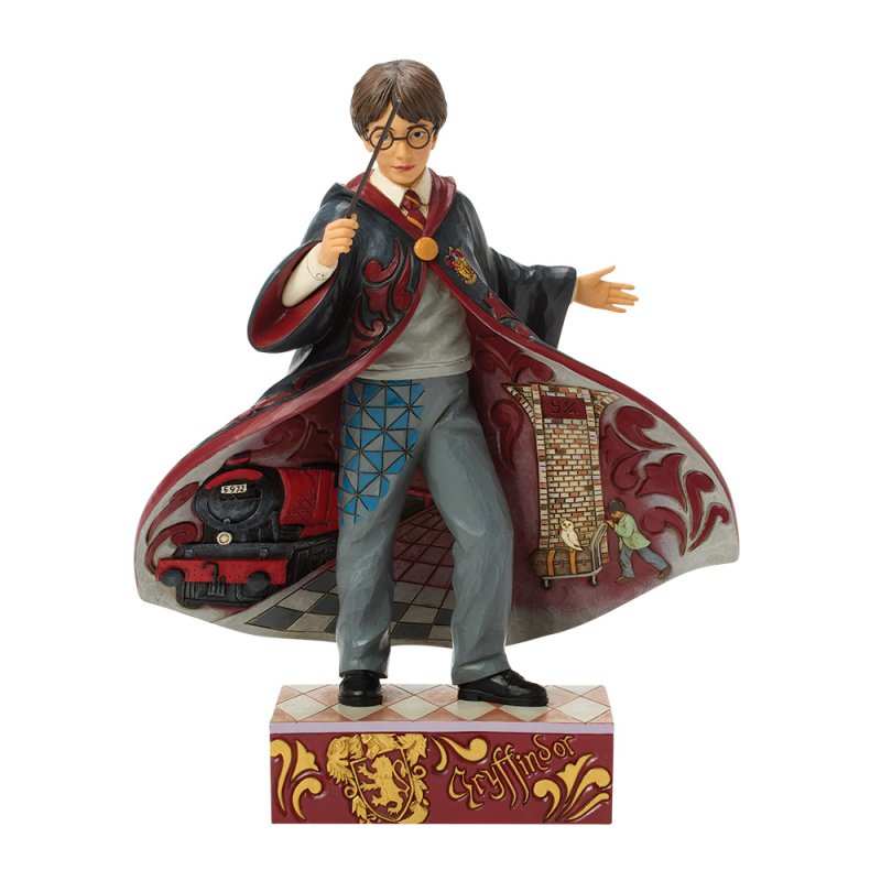Harry Potter Magical Moment (Harry Potter Robe Scene)