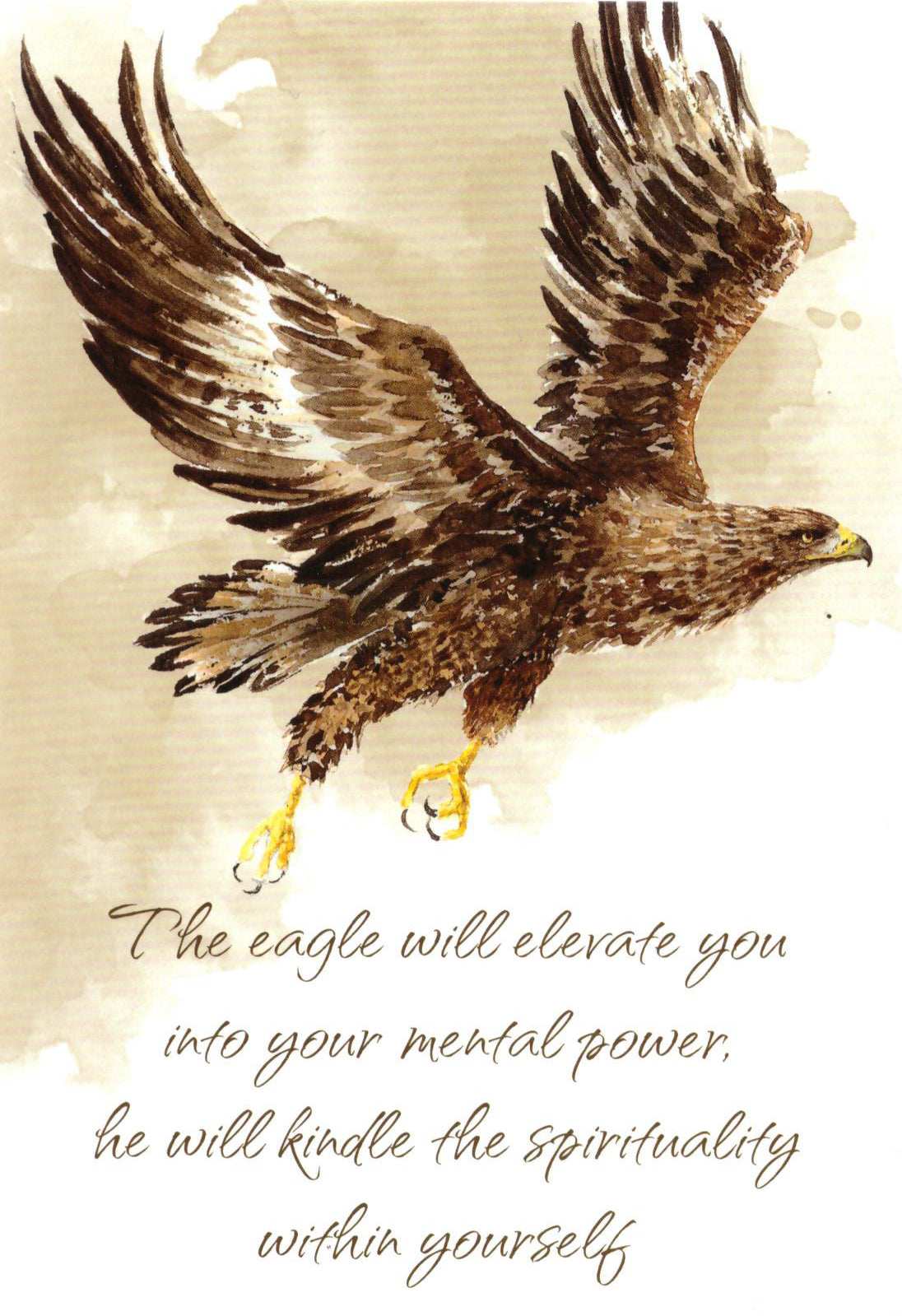 Power Animal Cards (GB)