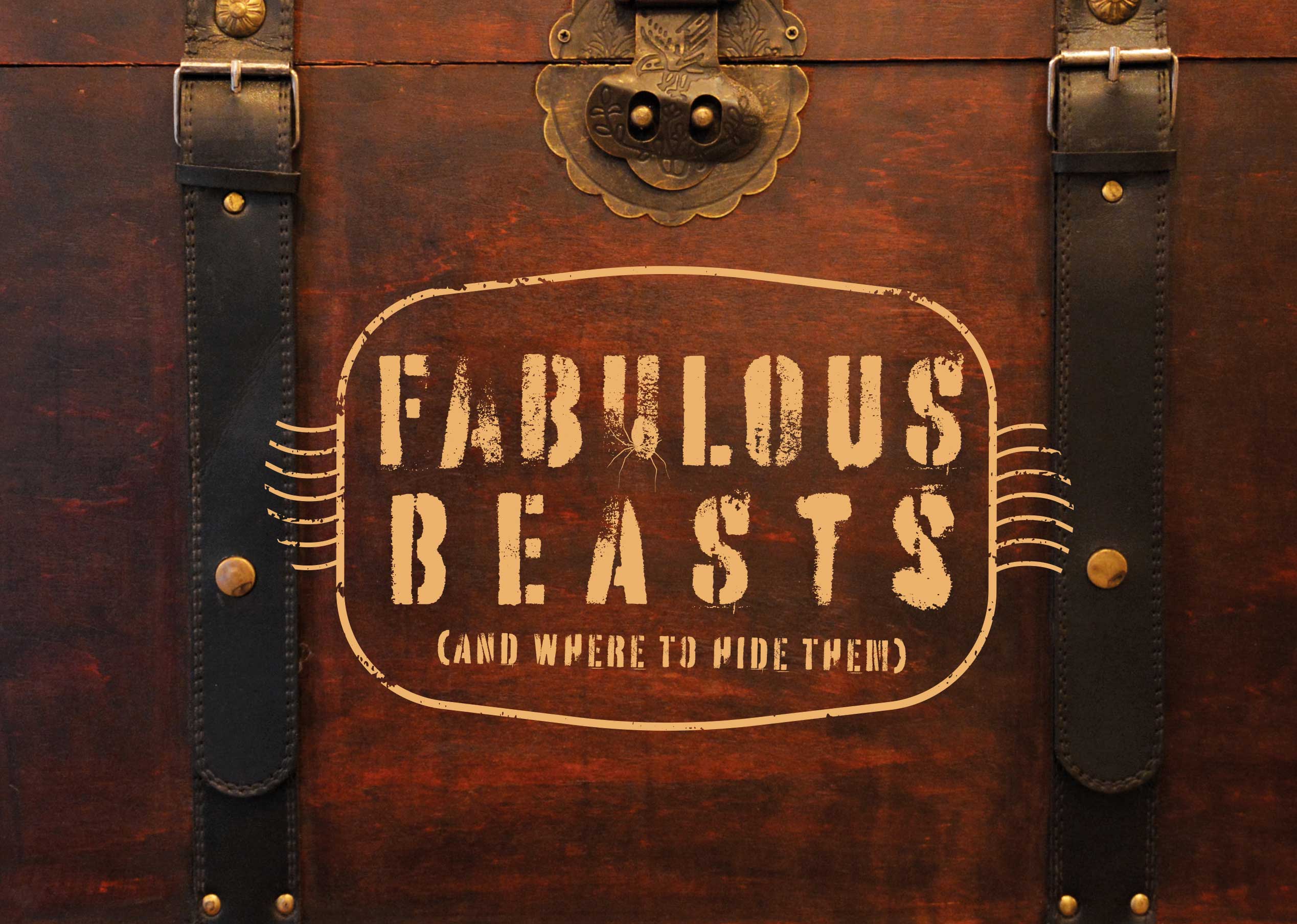Fabulous beasts (and where to hide them) - Olleke Wizarding Shop Amsterdam