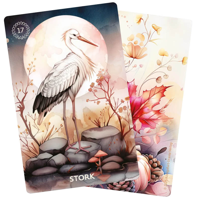 Autumn`s Embrace Lenormand - Olleke Wizarding Shop Amsterdam