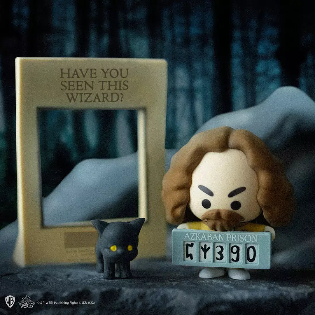 Harry Potter Mystery Boxes Gomee Figurine - Olleke Wizarding Shop Amsterdam
