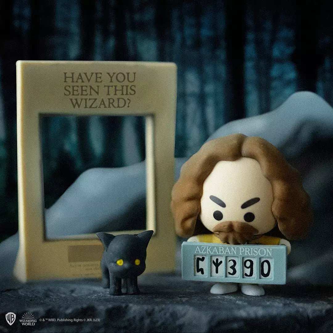 Harry Potter Mystery Boxes Gomee Figurine - Olleke Wizarding Shop Amsterdam