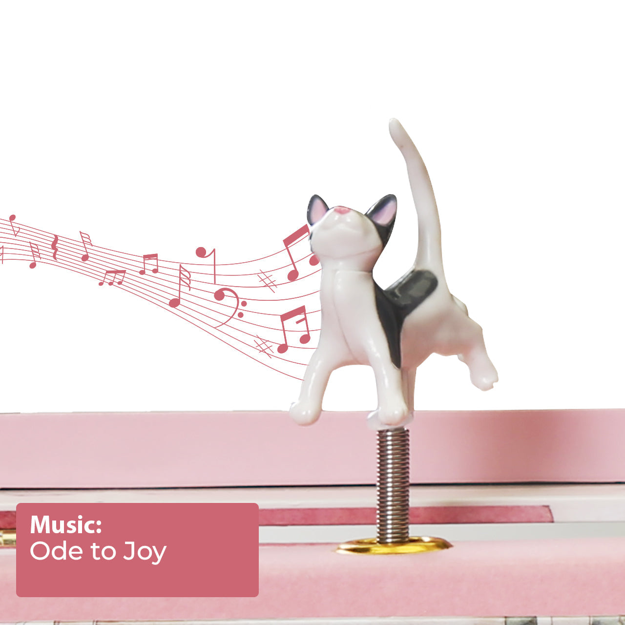 Curious Kittens Music Box - Olleke Wizarding Shop Amsterdam
