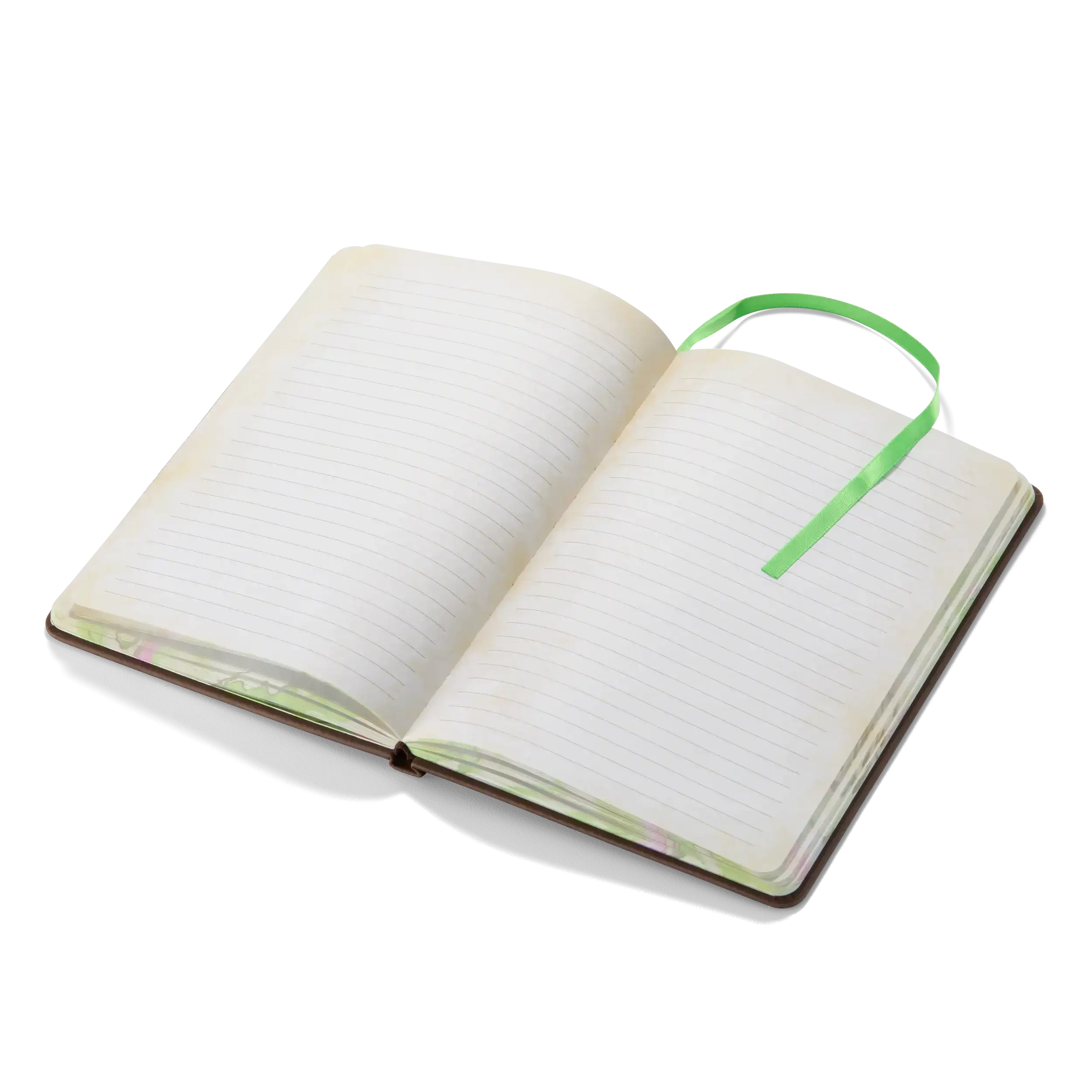 Wicked Elphaba’s Journal - Olleke Wizarding Shop Amsterdam