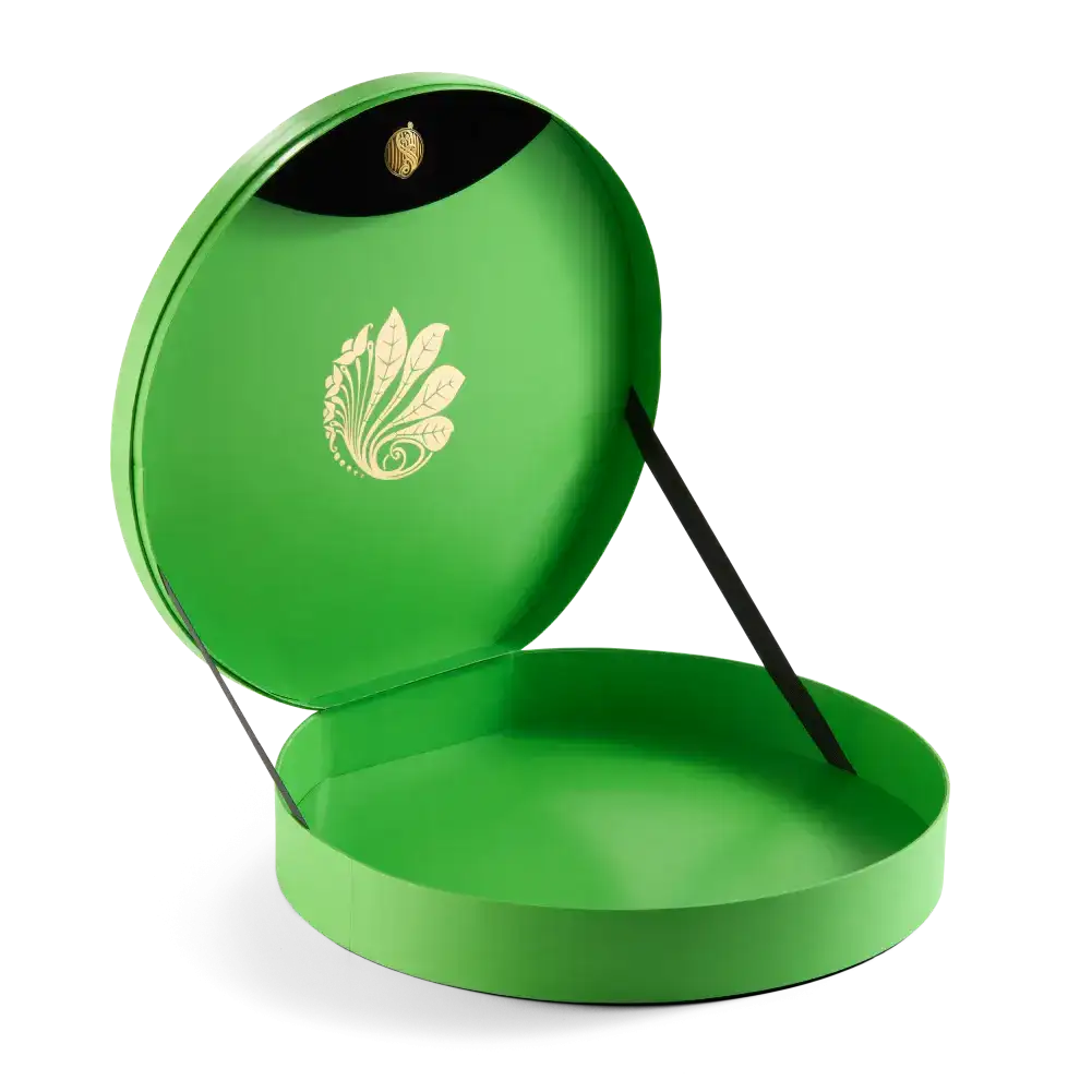 Elphaba’s Hat – Adult Collector Edition - Olleke Wizarding Shop Amsterdam