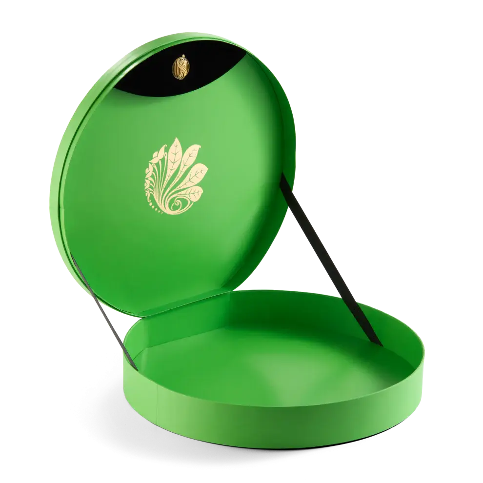 Elphaba’s Hat – Adult Collector Edition - Olleke Wizarding Shop Amsterdam