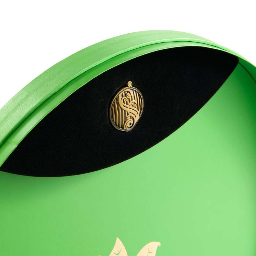 Elphaba’s Hat – Adult Collector Edition - Olleke Wizarding Shop Amsterdam