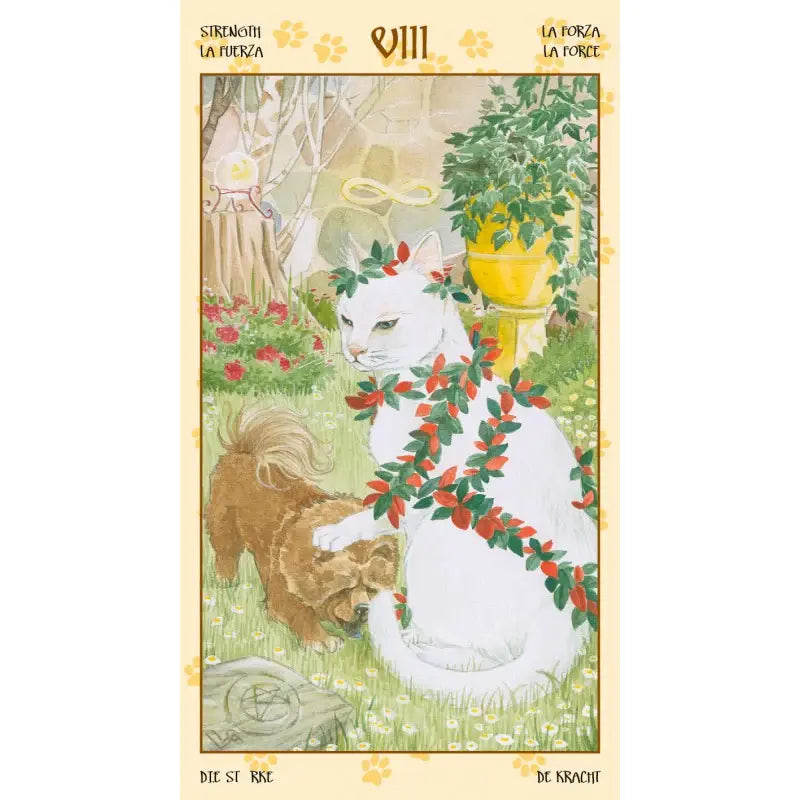 Tarot Of Pagan Cats - Olleke Wizarding Shop Amsterdam