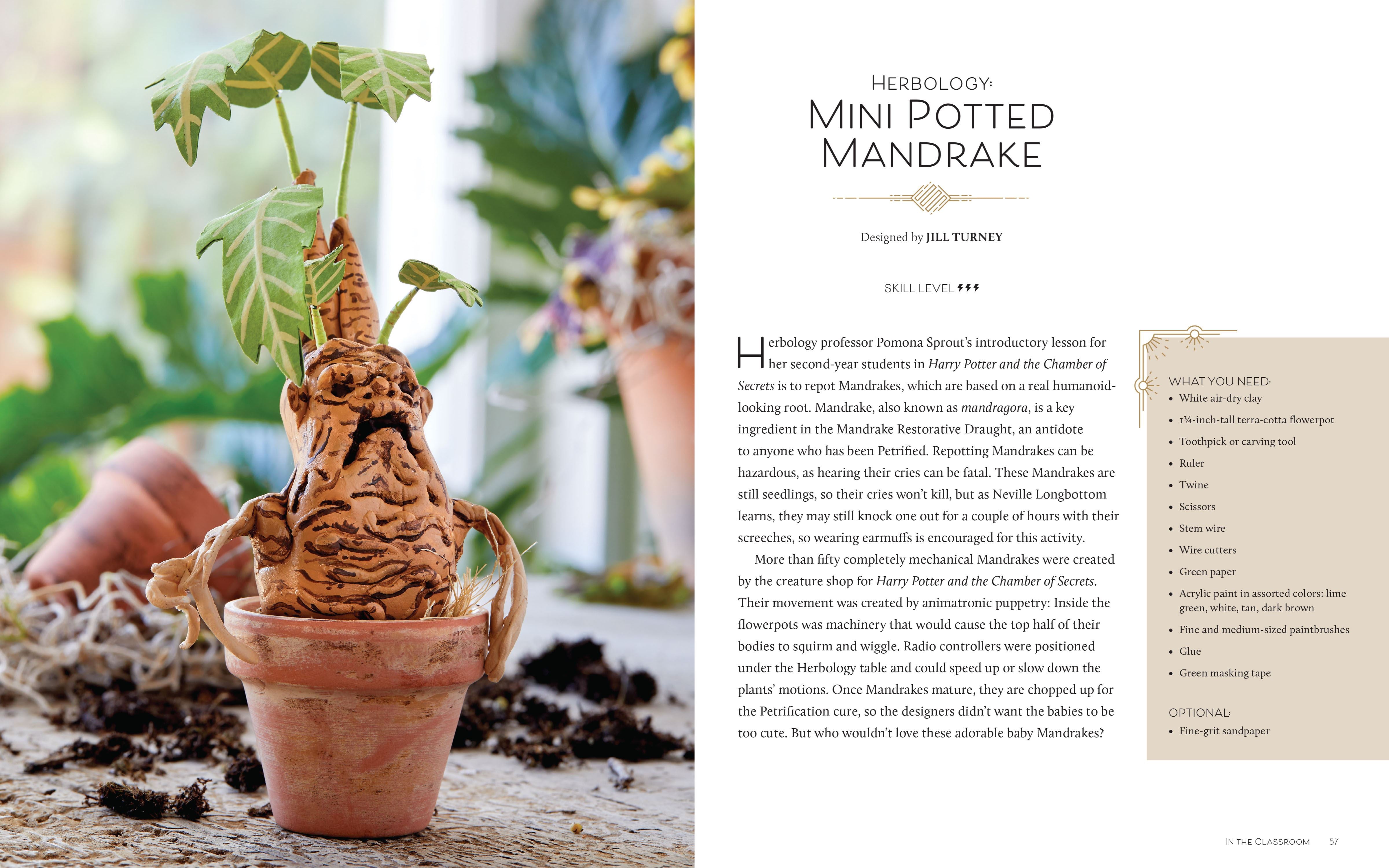 Harry Potter: Crafting Wizardry - Olleke Wizarding Shop Amsterdam