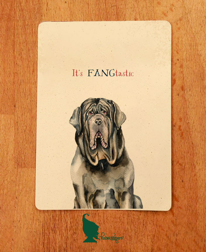 It's FANGtastic - Olleke Wizarding Shop Amsterdam